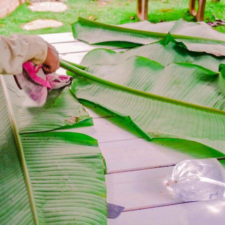 Homestay Vuon Trai Cay Nhiet Doi Vo Uu Garden バオロク エクステリア 写真