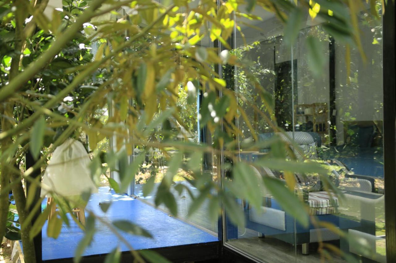 Homestay Vuon Trai Cay Nhiet Doi Vo Uu Garden バオロク エクステリア 写真