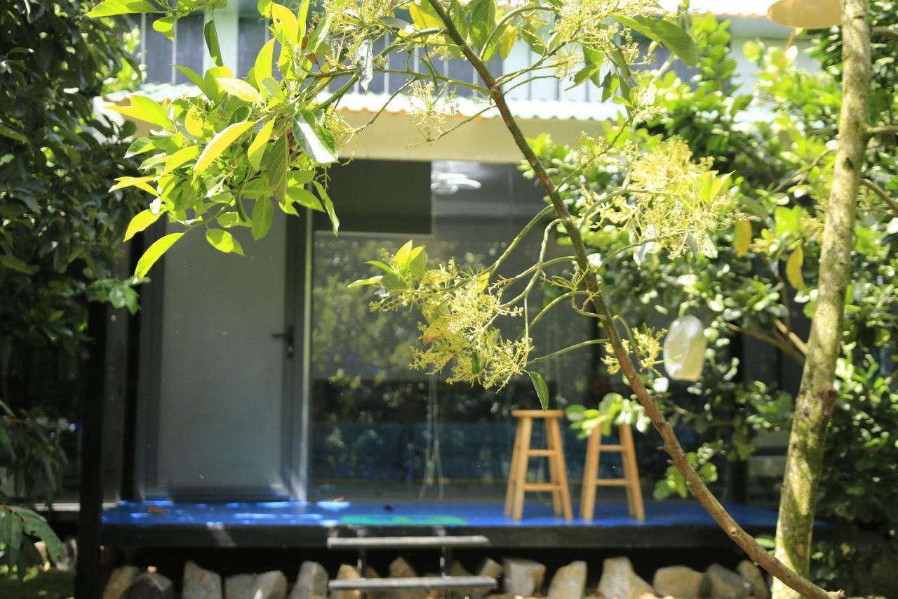 Homestay Vuon Trai Cay Nhiet Doi Vo Uu Garden バオロク エクステリア 写真