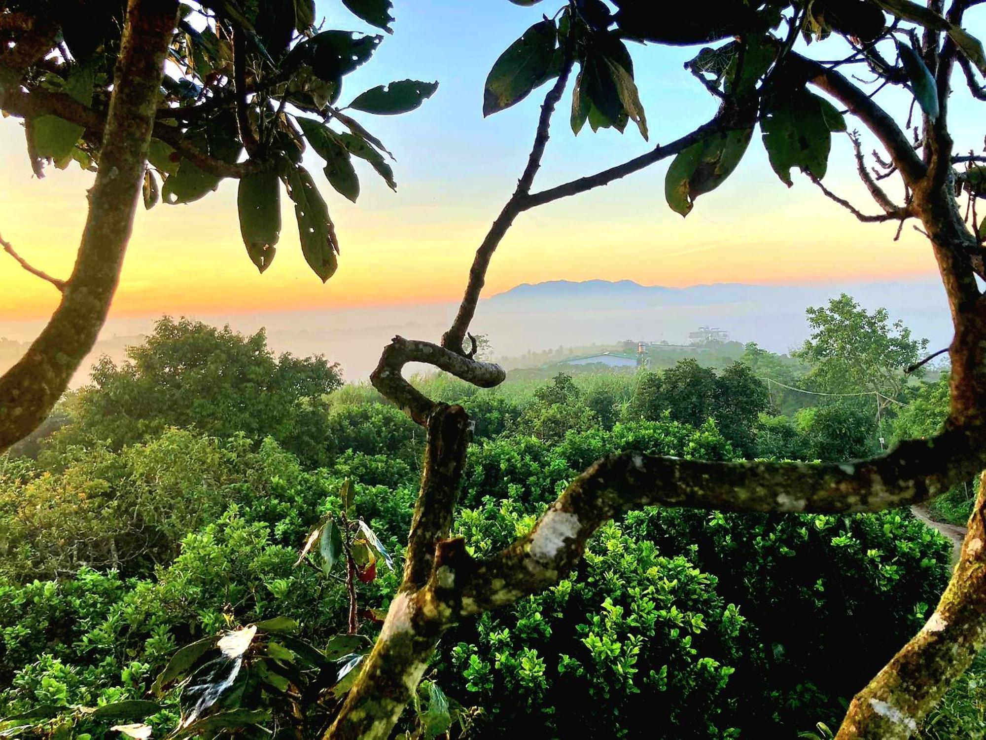 Homestay Vuon Trai Cay Nhiet Doi Vo Uu Garden バオロク エクステリア 写真