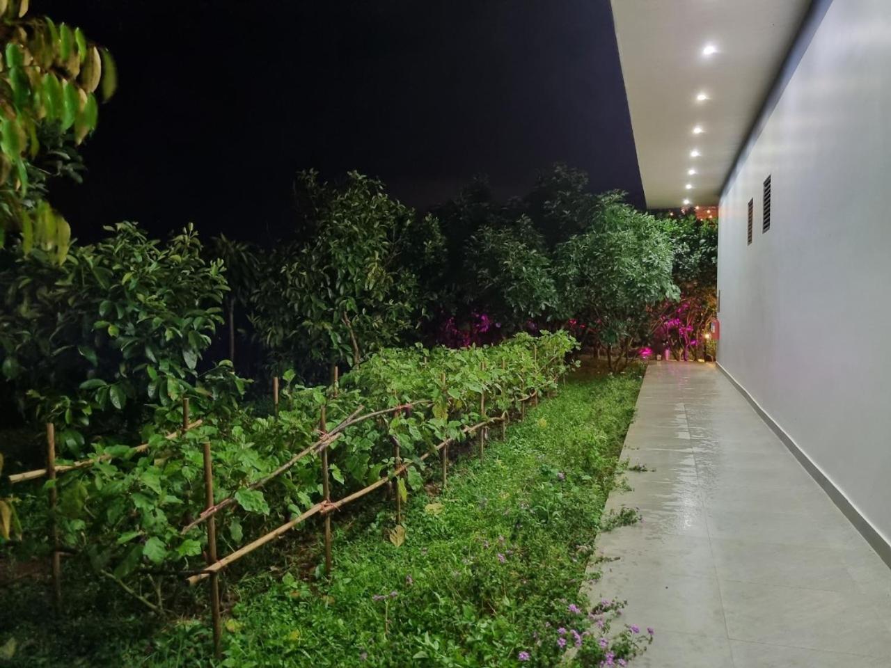 Homestay Vuon Trai Cay Nhiet Doi Vo Uu Garden バオロク エクステリア 写真