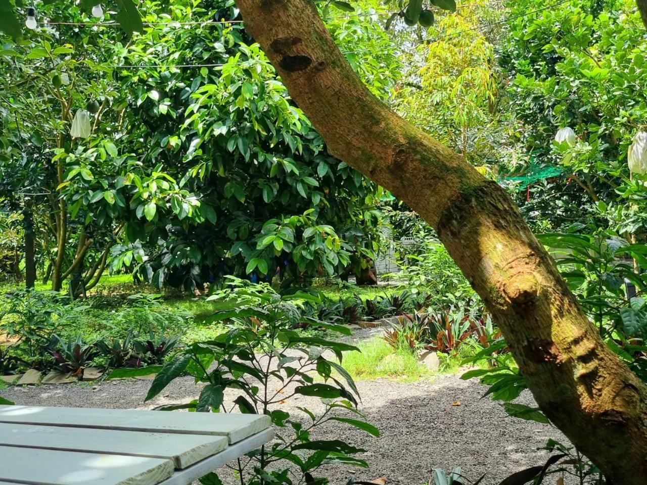 Homestay Vuon Trai Cay Nhiet Doi Vo Uu Garden バオロク エクステリア 写真
