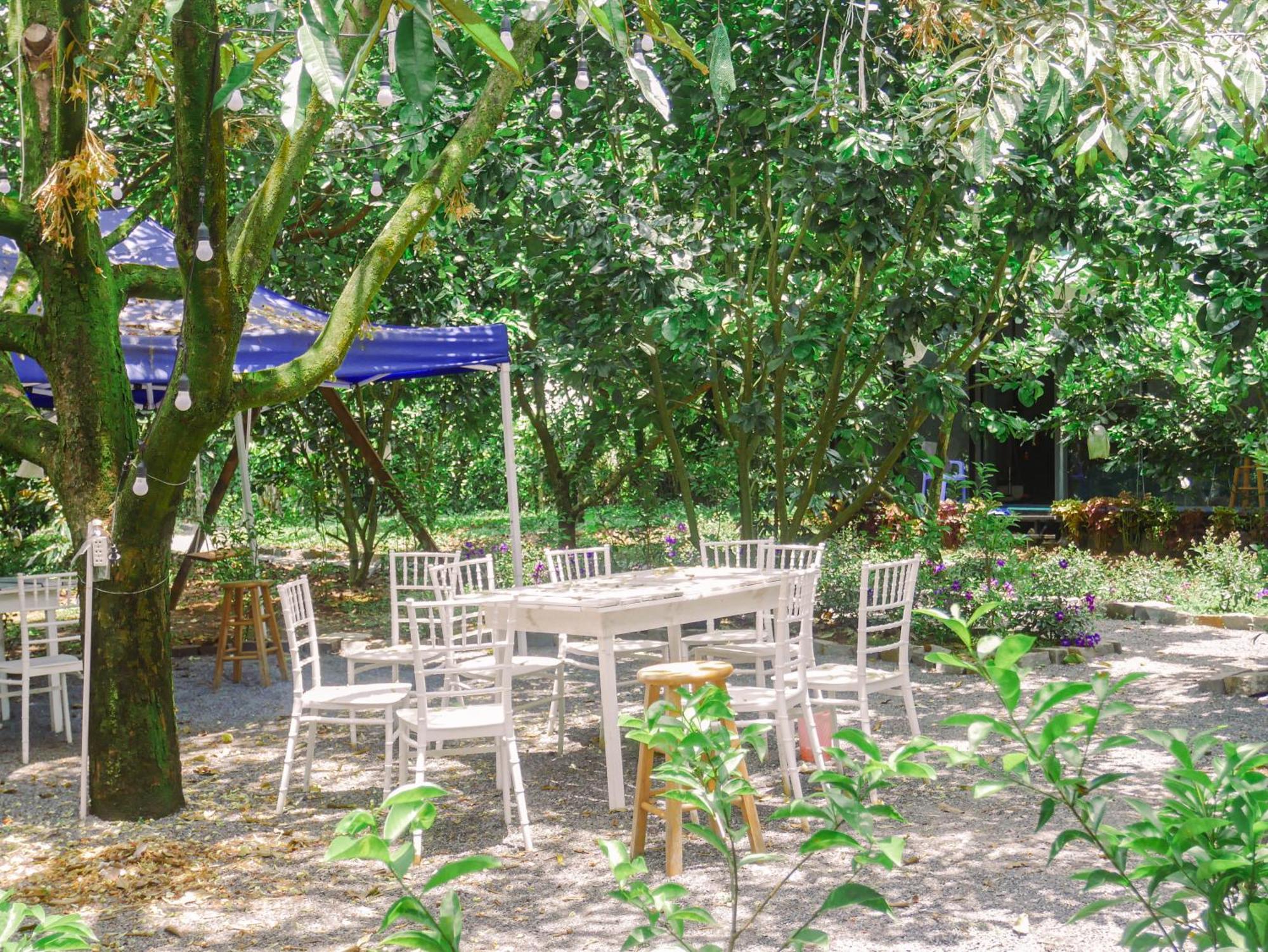 Homestay Vuon Trai Cay Nhiet Doi Vo Uu Garden バオロク エクステリア 写真
